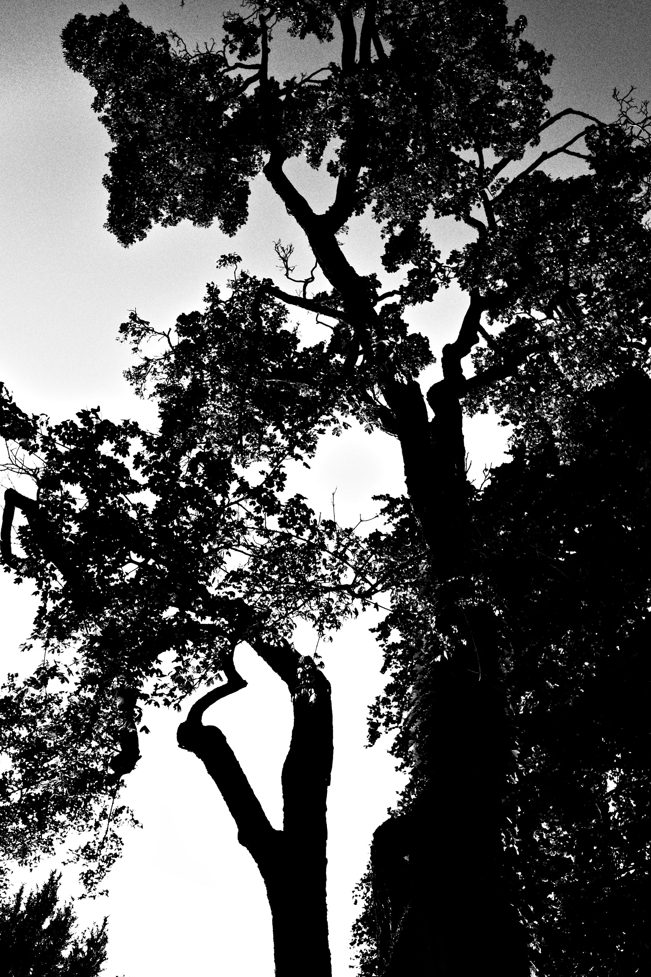 First frame from the Ricoh GR IV in Graz