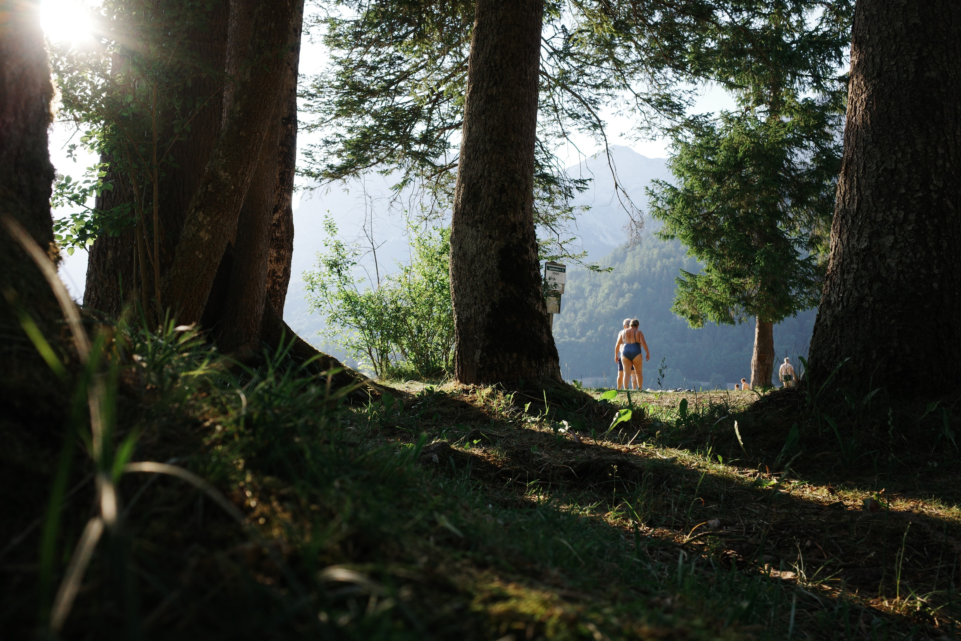 Sun flaring through pines, two figures walking down to the water